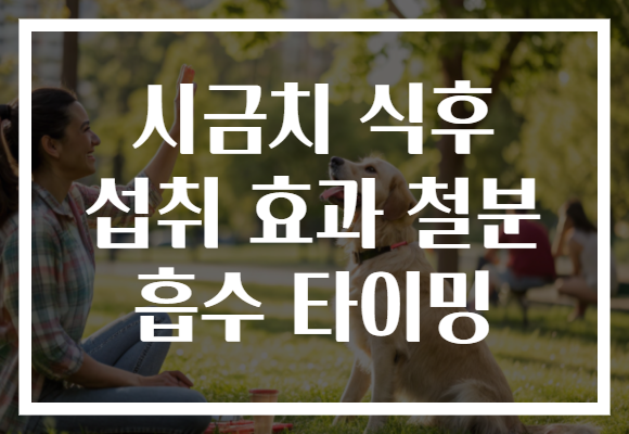 시금치 식후 섭취 효과 철분 흡수 타이밍