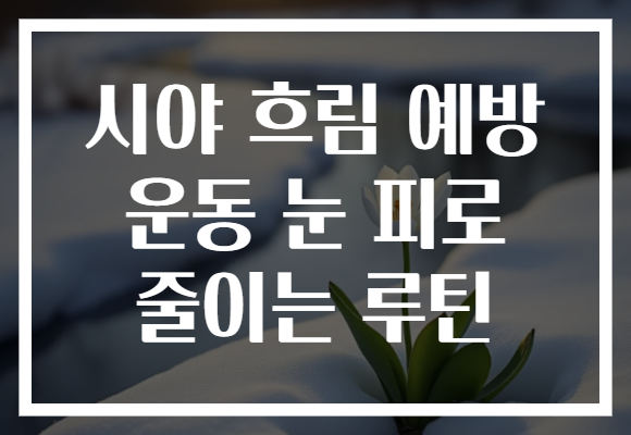 시야 흐림 예방 운동 눈 피로 줄이는 루틴