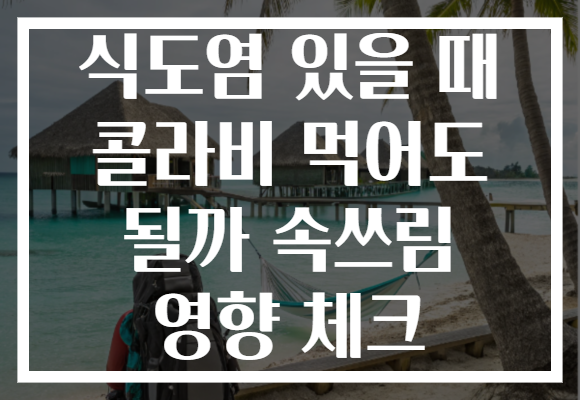 식도염 있을 때 콜라비 먹어도 될까 속쓰림 영향 체크