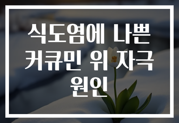 식도염에 나쁜 커큐민 위 자극 원인