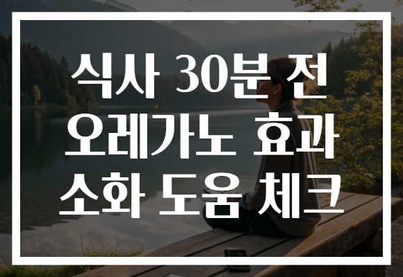 식사 30분 전 오레가노 효과 소화 도움 체크 식사 30분 전 오레가노 효과 소화 도움 체크
