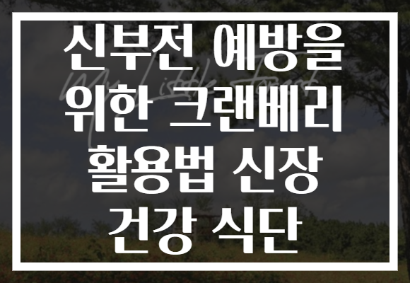 신부전 예방을 위한 크랜베리 활용법 신장 건강 식단