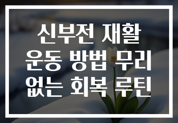 신부전 재활 운동 방법 무리 없는 회복 루틴 신부전 재활 운동 방법 무리 없는 회복 루틴