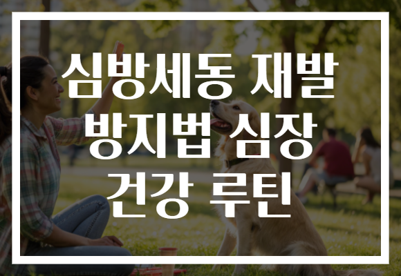 심방세동 재발 방지법 심장 건강 루틴