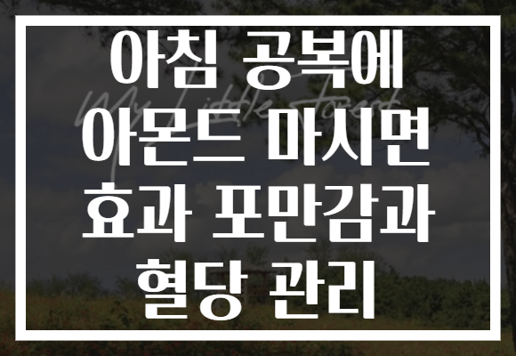 아침 공복에 아몬드 마시면 효과 포만감과 혈당 관리
