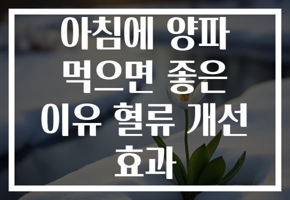 아침에 양파 먹으면 좋은 이유 혈류 개선 효과