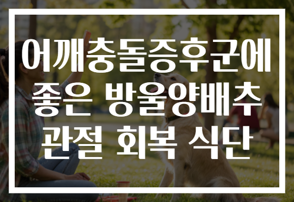 어깨충돌증후군에 좋은 방울양배추 관절 회복 식단