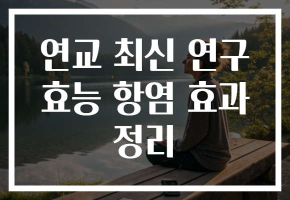 연교 최신 연구 효능 항염 효과 정리