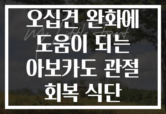 오십견 완화에 도움이 되는 아보카도 관절 회복 식단 오십견 완화에 도움이 되는 아보카도 관절 회복 식단
