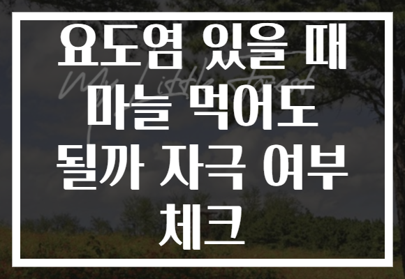 요도염 있을 때 마늘 먹어도 될까 자극 여부 체크