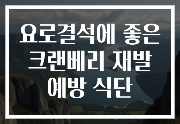 요로결석에 좋은 크랜베리 재발 예방 식단