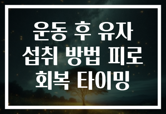 운동 후 유자 섭취 방법 피로 회복 타이밍