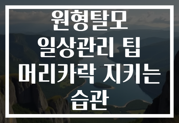 원형탈모 일상관리 팁 머리카락 지키는 습관