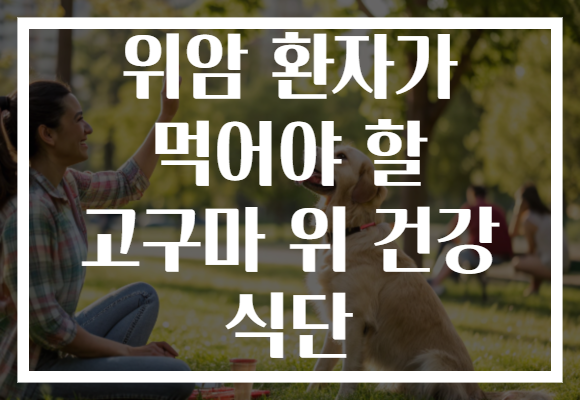 위암 환자가 먹어야 할 고구마 위 건강 식단