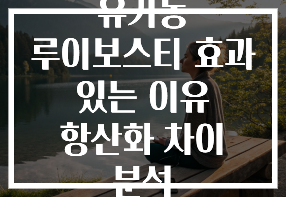 유기농 루이보스티 효과 있는 이유 항산화 차이 분석