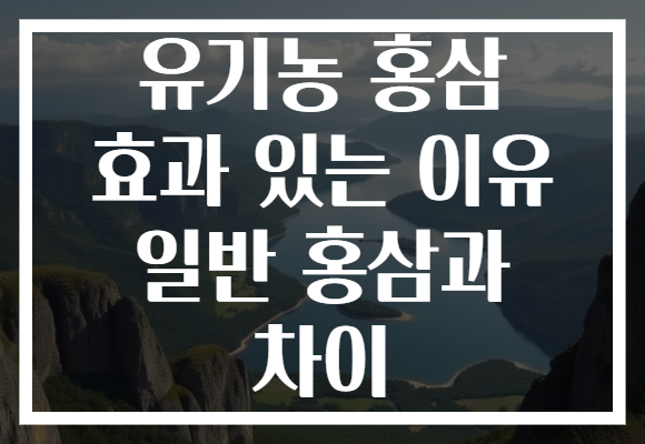 유기농 홍삼 효과 있는 이유 일반 홍삼과 차이