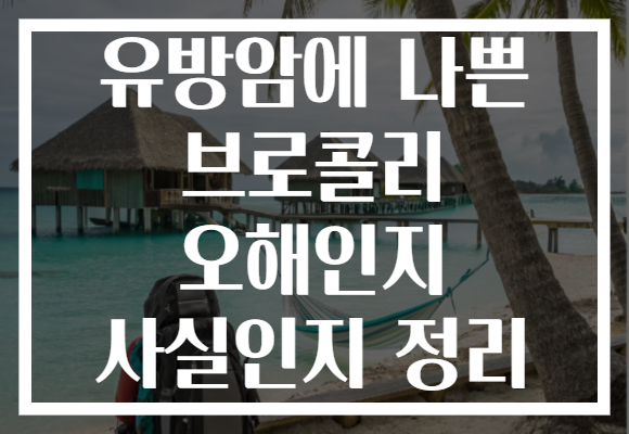 유방암에 나쁜 브로콜리 오해인지 사실인지 정리