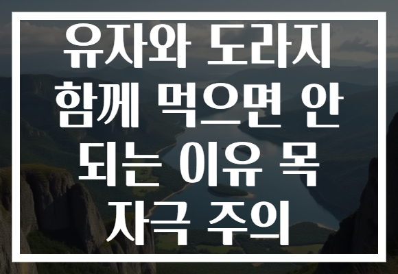 유자와 도라지 함께 먹으면 안 되는 이유 목 자극 주의