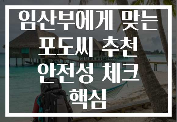 임산부에게 맞는 포도씨 추천 안전성 체크 핵심