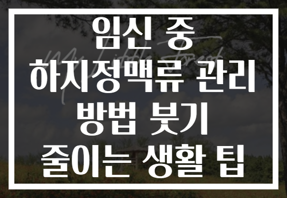임신 중 하지정맥류 관리 방법 붓기 줄이는 생활 팁 임신 중 하지정맥류 관리 방법 붓기 줄이는 생활 팁