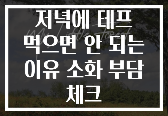 저녁에 테프 먹으면 안 되는 이유 소화 부담 체크