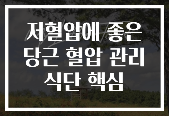 저혈압에 좋은 당근 혈압 관리 식단 핵심