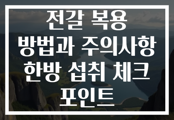 전갈 복용 방법과 주의사항 한방 섭취 체크 포인트