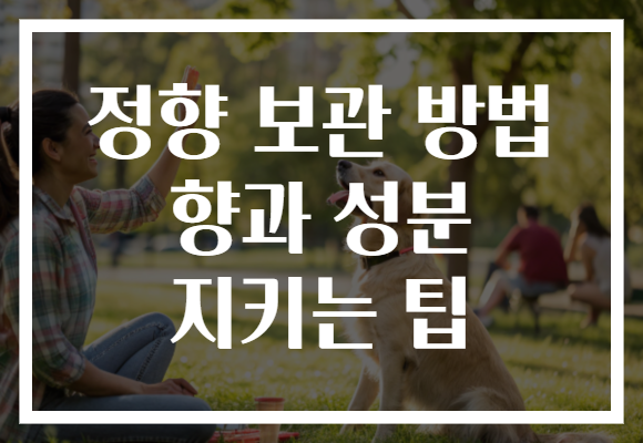 정향 보관 방법 향과 성분 지키는 팁