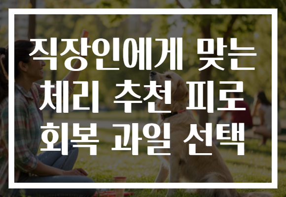 직장인에게 맞는 체리 추천 피로 회복 과일 선택