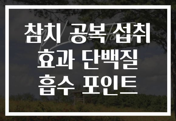 참치 공복 섭취 효과 단백질 흡수 포인트