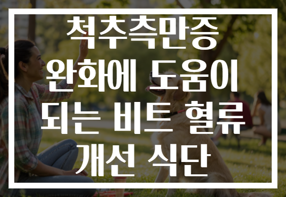 척추측만증 완화에 도움이 되는 비트 혈류 개선 식단