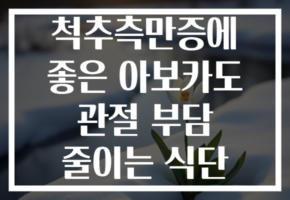 척추측만증에 좋은 아보카도 관절 부담 줄이는 식단