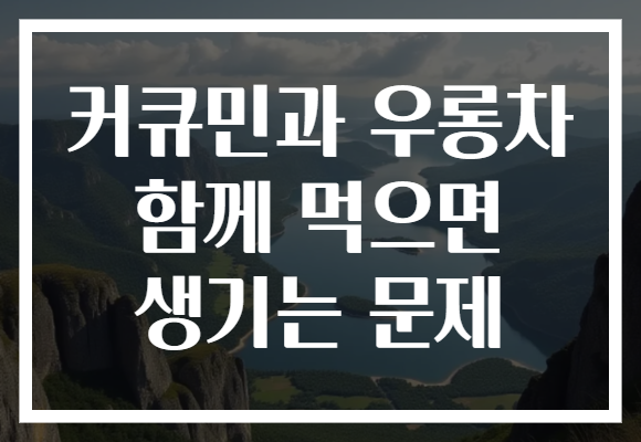 커큐민과 우롱차 함께 먹으면 생기는 문제