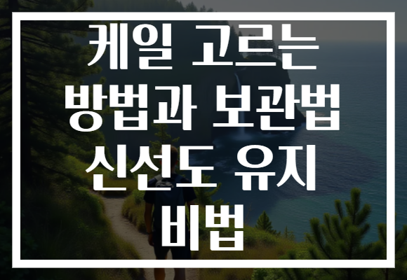 케일 고르는 방법과 보관법 신선도 유지 비법 케일 고르는 방법과 보관법 신선도 유지 비법