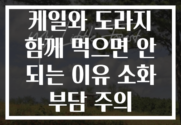 케일와 도라지 함께 먹으면 안 되는 이유 소화 부담 주의