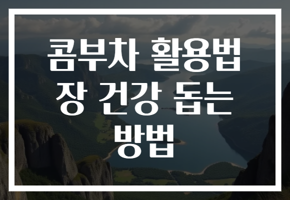 콤부차 활용법 장 건강 돕는 방법
