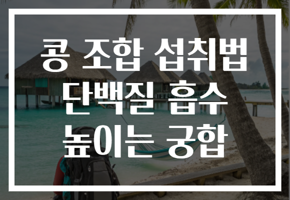 콩 조합 섭취법 단백질 흡수 높이는 궁합
