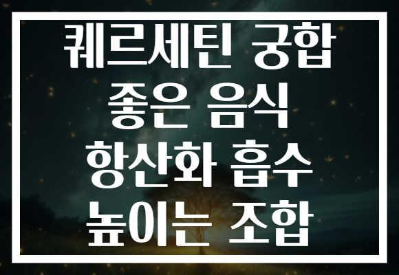 퀘르세틴 궁합 좋은 음식 항산화 흡수 높이는 조합 퀘르세틴 궁합 좋은 음식 항산화 흡수 높이는 조합