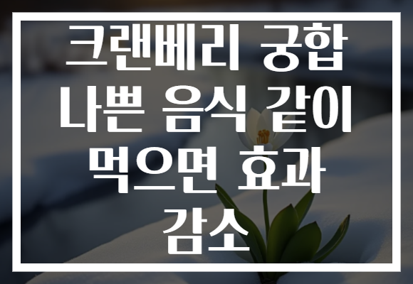 크랜베리 궁합 나쁜 음식 같이 먹으면 효과 감소