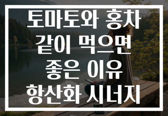 토마토와 홍차 같이 먹으면 좋은 이유 항산화 시너지