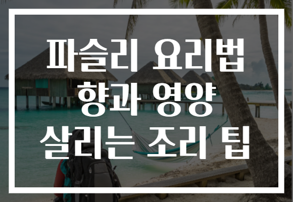 파슬리 요리법 향과 영양 살리는 조리 팁