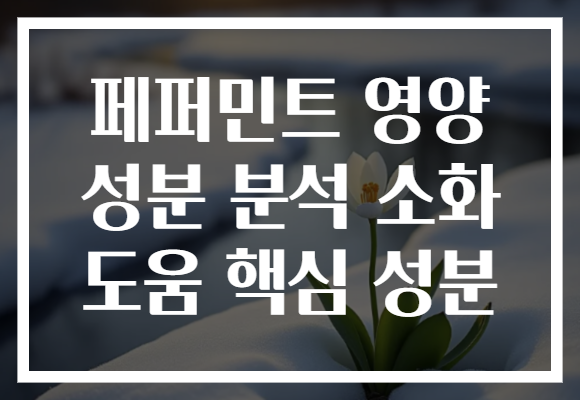 페퍼민트 영양 성분 분석 소화 도움 핵심 성분