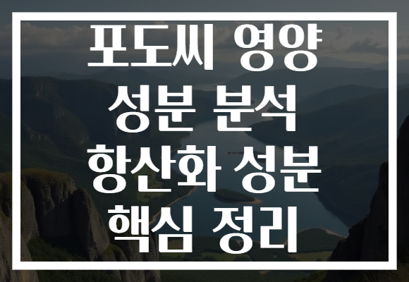 포도씨 영양 성분 분석 항산화 성분 핵심 정리 포도씨 영양 성분 분석 항산화 성분 핵심 정리
