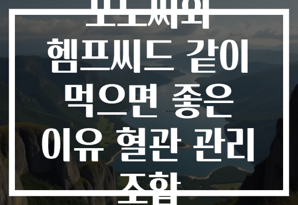 포도씨와 헴프씨드 같이 먹으면 좋은 이유 혈관 관리 조합