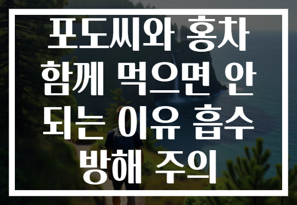 포도씨와 홍차 함께 먹으면 안 되는 이유 흡수 방해 주의