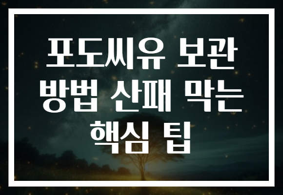 포도씨유 보관 방법 산패 막는 핵심 팁