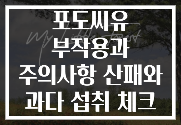 포도씨유 부작용과 주의사항 산패와 과다 섭취 체크