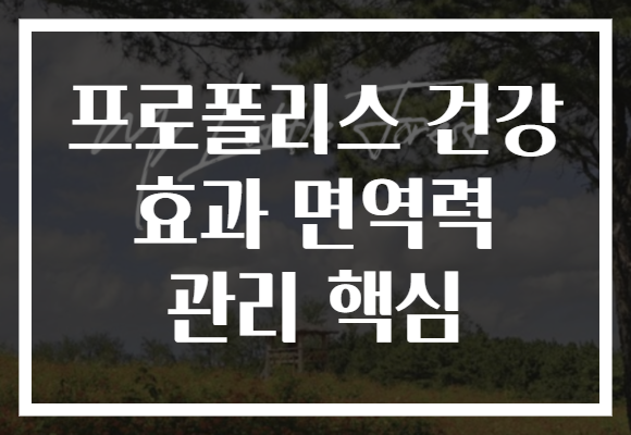 프로폴리스 건강 효과 면역력 관리 핵심