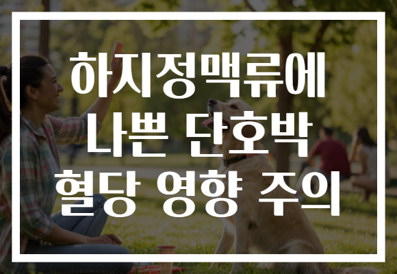 하지정맥류에 나쁜 단호박 혈당 영향 주의