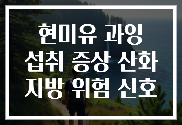 현미유 과잉 섭취 증상 산화 지방 위험 신호